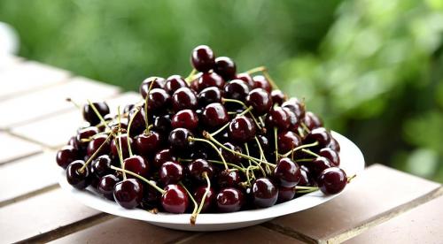 Самые крупные сорта черешни. Черешня крупноплодная: особенности субкультуры 05 Самые крупные сорта черешни. Черешня крупноплодная: особенности субкультуры 05