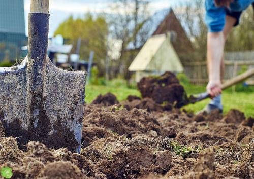 Какие минеральные удобрения вносят осенью. Удобрения осенью под перекопку –, какие и как вносить
