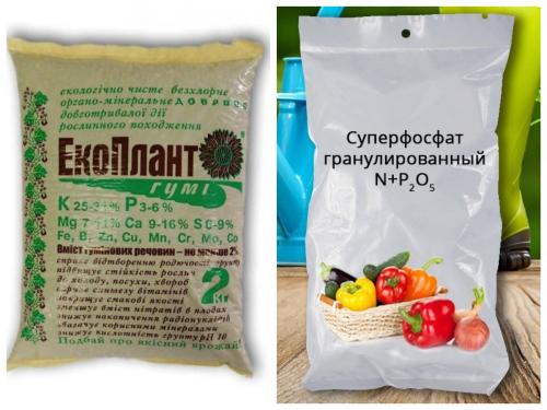 Чем удобрить истощенную землю. Внесение в грунт перегноя