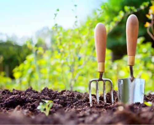 Какой навоз и в каких случаях применять. Конский навоз 02