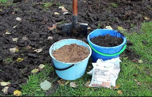 Удобрение осеннее состав. Какие удобрения и подкормки лучше вносить для сада и огорода осенью