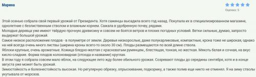 Сорта колоновидных яблонь для кубани. Топ-16 сортов колоновидной яблони с названиями, описанием, фото и отзывами