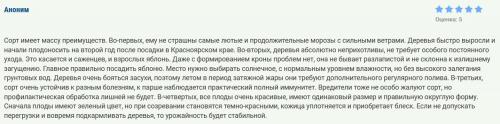 Сорта колоновидных яблонь для кубани. Топ-16 сортов колоновидной яблони с названиями, описанием, фото и отзывами