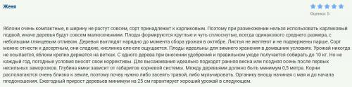 Сорта колоновидных яблонь для кубани. Топ-16 сортов колоновидной яблони с названиями, описанием, фото и отзывами