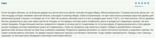 Сорта колоновидных яблонь для кубани. Топ-16 сортов колоновидной яблони с названиями, описанием, фото и отзывами
