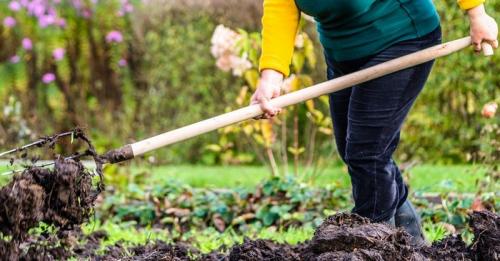 Как вносить удобрения осенью. Когда и как правильно вносить осенние удобрения для подкормки и для улучшения плодородия почвы