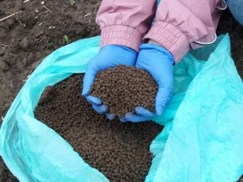 Сроки внесения в почву фосфорных удобрений. Виды и названия фосфорных удобрений, их значение и способы применения