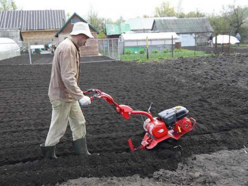 Как вносить навоз осенью под перекопку. Как производить перекопку огорода