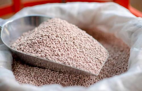 Сроки внесения в почву фосфорных удобрений. Фосфор для растений – мощные корешки и здоровые вершки