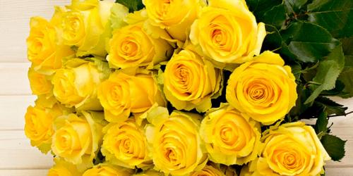 Бордовые розы и темно-красные. Купить бордовую розу. Бордовая роза цена. 05