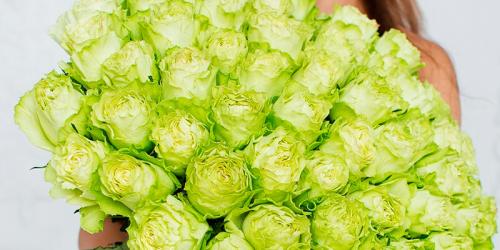 Бордовые розы и темно-красные. Купить бордовую розу. Бордовая роза цена. 13