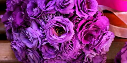 Бордовые розы и темно-красные. Купить бордовую розу. Бордовая роза цена. 11