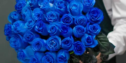 Бордовые розы и темно-красные. Купить бордовую розу. Бордовая роза цена. 07