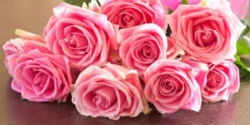 Бордовые розы и темно-красные. Купить бордовую розу. Бордовая роза цена. 04