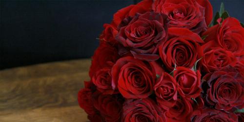 Бордовые розы и темно-красные. Купить бордовую розу. Бордовая роза цена. 03
