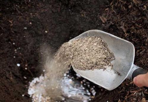 Что лучше всего внести под перекопку осенью. Минеральные удобрения 01