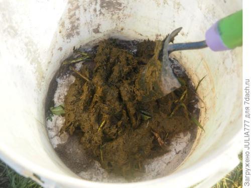 В каком месте лучше вносить навоз для томатов