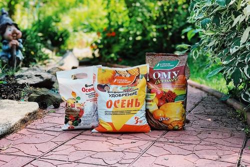 Какие удобрения вносить осенью. Осенние удобрения под перекопку в огороде и в саду: какие и как вносить