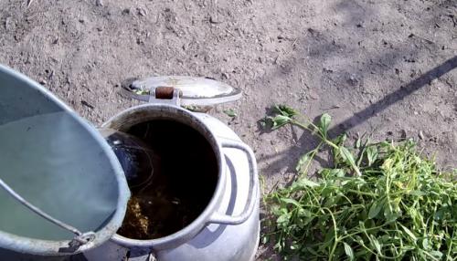 Что можно удобрять навозом в разные времена года. В каком виде применяется? 06