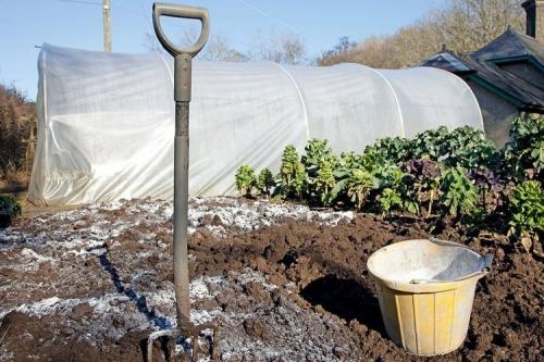 Какие удобрения вносить осенью. Осенние удобрения под перекопку в огороде и в саду: какие и как вносить