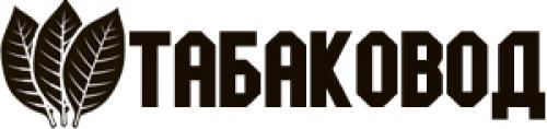 Когда срезать курительный табак. Можно ли выращивать табак на своём участке в России?