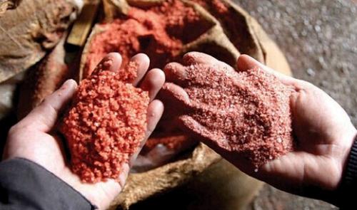 Когда вносить навоз в теплицу. Самые популярные удобрения для тепличного грунта