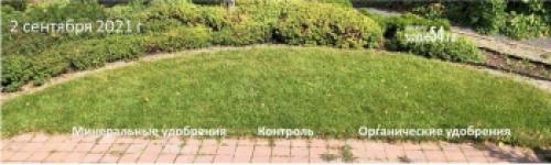 Какие растения не рекомендуется удобрять конским навозом