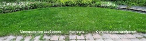 Какие растения не рекомендуется удобрять конским навозом