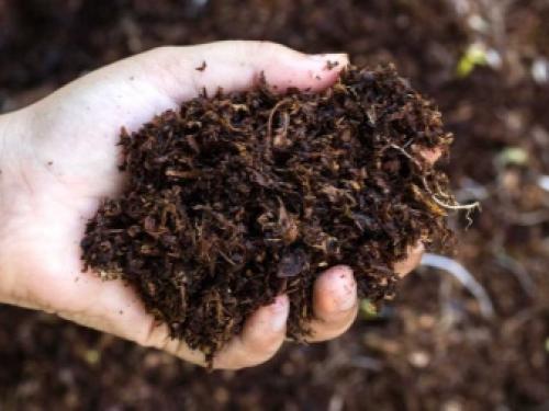 Почему осенью земля нуждается в удобрениях ещё.. Как повысить плодородие почвы осенью 09 Почему осенью земля нуждается в удобрениях ещё.. Как повысить плодородие почвы осенью 09