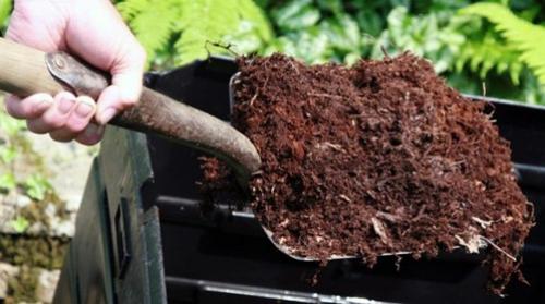 Когда вносить навоз в теплицу. Самые популярные удобрения для тепличного грунта