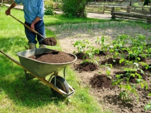 Почему осенью земля нуждается в удобрениях ещё.. Как повысить плодородие почвы осенью 10 Почему осенью земля нуждается в удобрениях ещё.. Как повысить плодородие почвы осенью 10