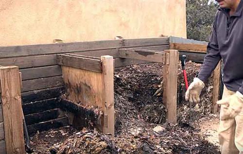 Свиной навоз для картофеля. Особенности разных видов свиного навоза