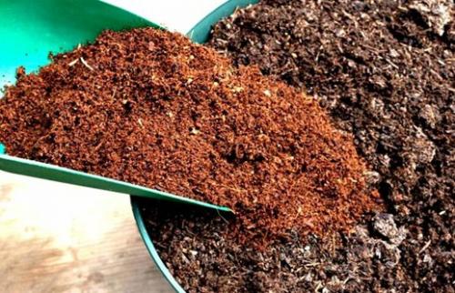 Когда вносить навоз в теплицу. Самые популярные удобрения для тепличного грунта