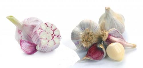 Посадка чеснока осенью в открытый грунт. Какой чеснок лучше сажать: озимый осенью или яровой весной