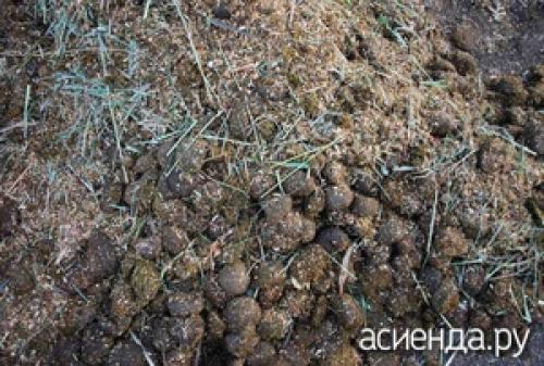 Бараний навоз. Особенности применения В чистом виде экскременты овец идут в ход крайне редко – для того, чтобы извлечь из них максимум пользы, их обычно соединяют с другими разновидностями органических удобрений. При таком подходе они превращаются в невероятно эффективное средство, как для обогащения грунта после зимы, так и для подкормок!