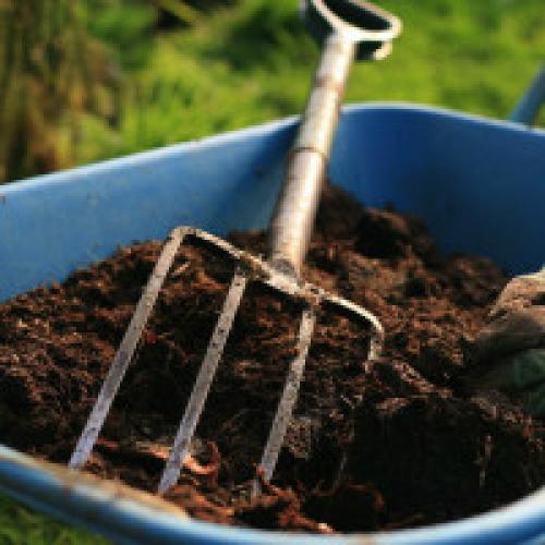 Внесение навоза в теплицу весной. Удобрение земли в теплице