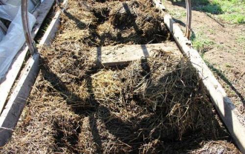 Удобрение навозом осенью. Что вносить под осеннюю перекопку