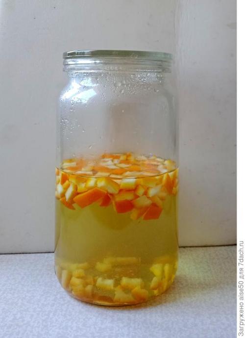 Как защитить лилию от вредителей и болезней. Эффективные методы борьбы с вредителями и болезнями лилий