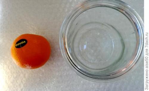 Какие условия необходимо создать для посадки лилийника в открытый грунт