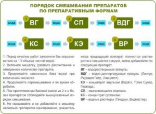 Какие методы защиты от вредителей и болезней необходимы для получения двух урожаев винограда в год. Пример баковых смесей для обработки винограда