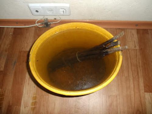 Какие способы Киушкин Николай предлагает для обработки винограда после сбора. Проращивание и укоренение черенков винограда с видео и фото