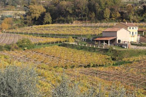 Блог про виноград Киушкина Николая. Винодельческий регион Valpolichella, Verona, Italy