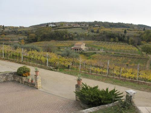 Блог про виноград Киушкина Николая. Винодельческий регион Valpolichella, Verona, Italy