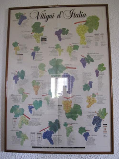 Блог про виноград Киушкина Николая. Винодельческий регион Valpolichella, Verona, Italy