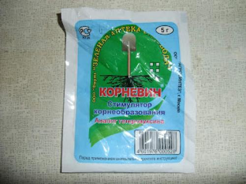 Какие способы Киушкин Николай предлагает для обработки винограда после сбора. Проращивание и укоренение черенков винограда с видео и фото