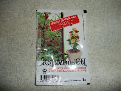 Какие способы Киушкин Николай предлагает для обработки винограда после сбора. Проращивание и укоренение черенков винограда с видео и фото