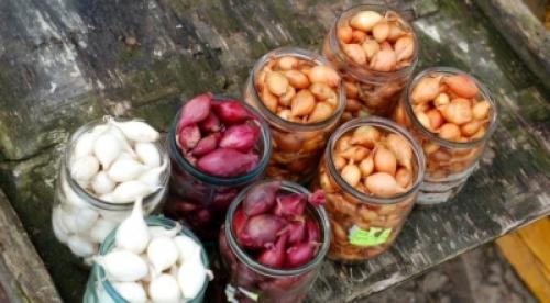 Зимние сорта лука голландской селекции. Топ-11 лучших сортов лука-севка голландской селекции и их описание