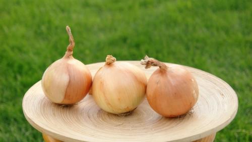 Какие сорта озимого лука выбрать. Лучшие сорта лука репки для посадки в зиму севком и семенами 06