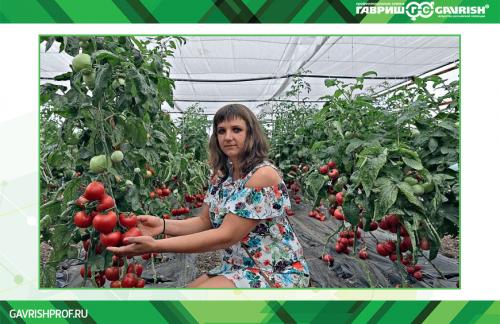 Урожай у меня созревает всегда раньше: секреты успеха 06 Урожай у меня созревает всегда раньше: секреты успеха 06