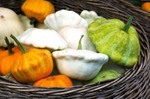 Тыква летом. Происхождение и характеристики тыквы